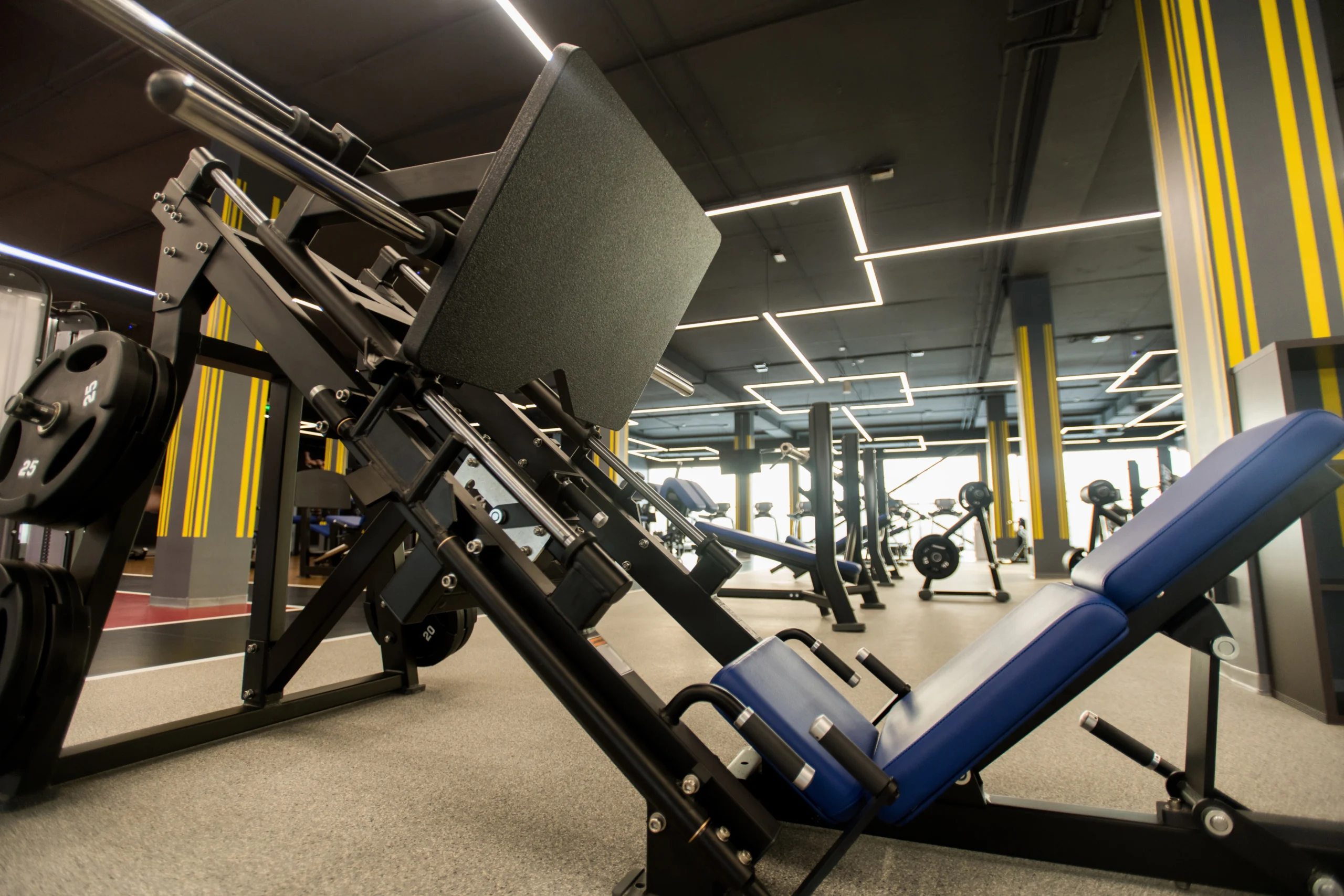 sports-equipment-for-bodybuilder-2026-03-24-07-23-55-utc